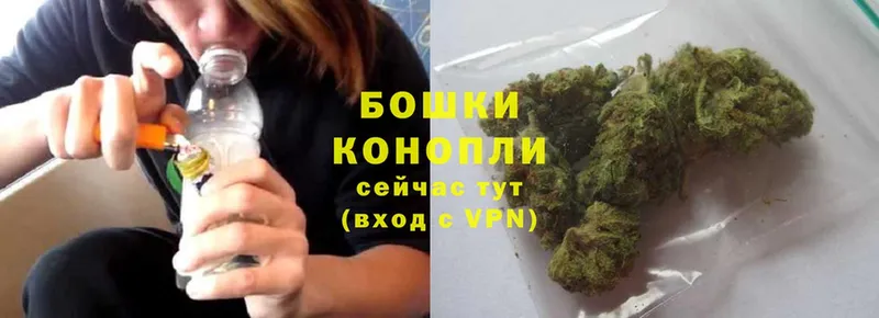 где купить наркоту  Чебаркуль  Бошки марихуана семена 